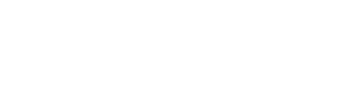 Twin Lion Apparel